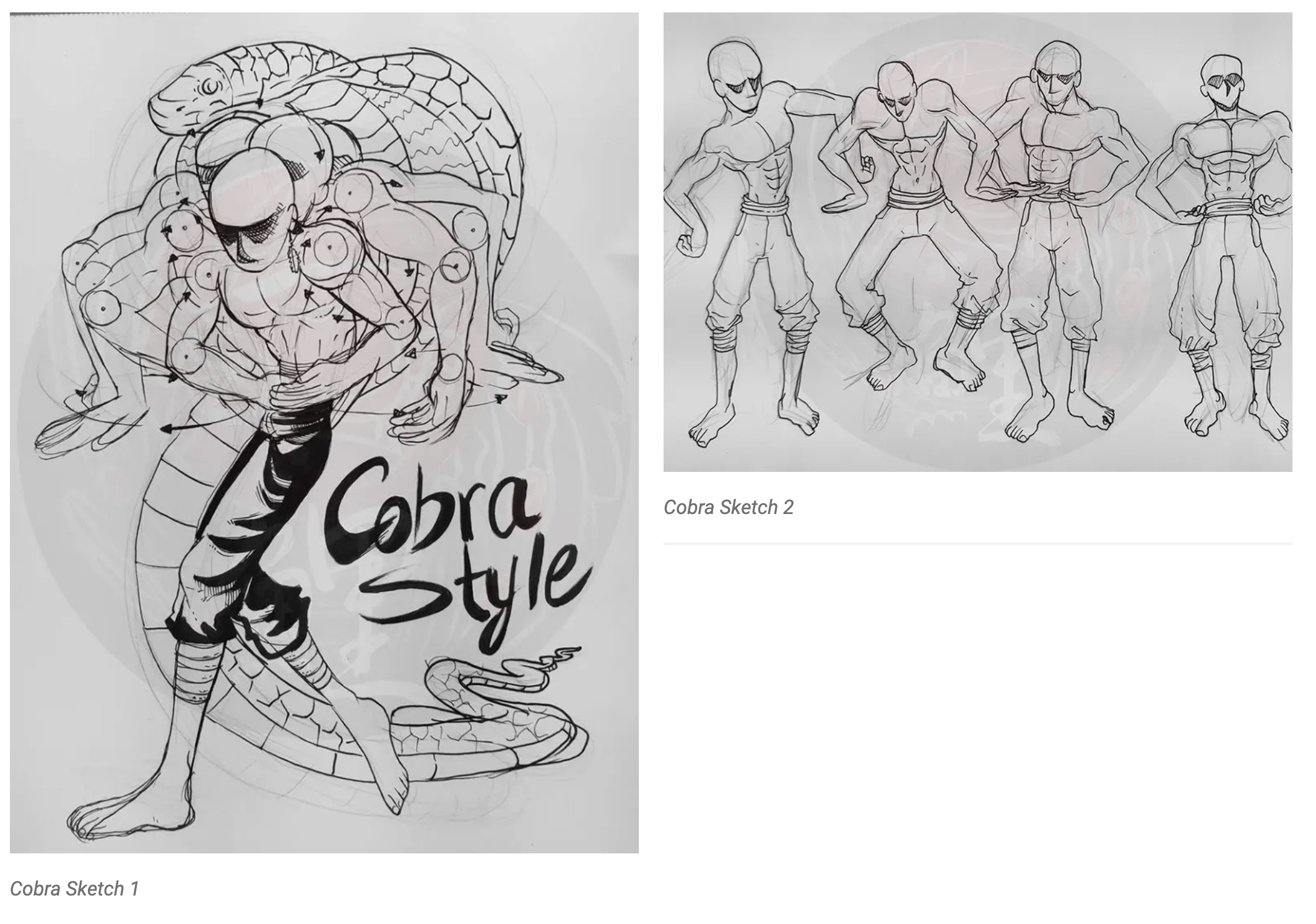 Cobra Sketches